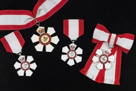 An array of several Orders of Canada - six-petaled silver medals with ribbons the colours of the Canadian flag.