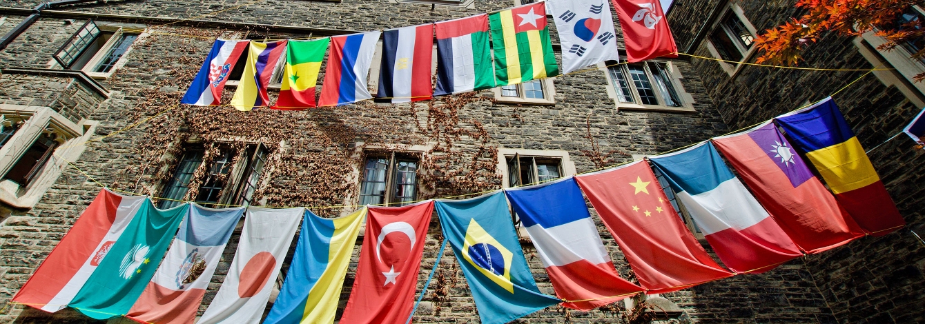 Worldwide flags on campus.