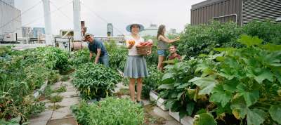 Students smiling and working in Sky Garden among the vegetables