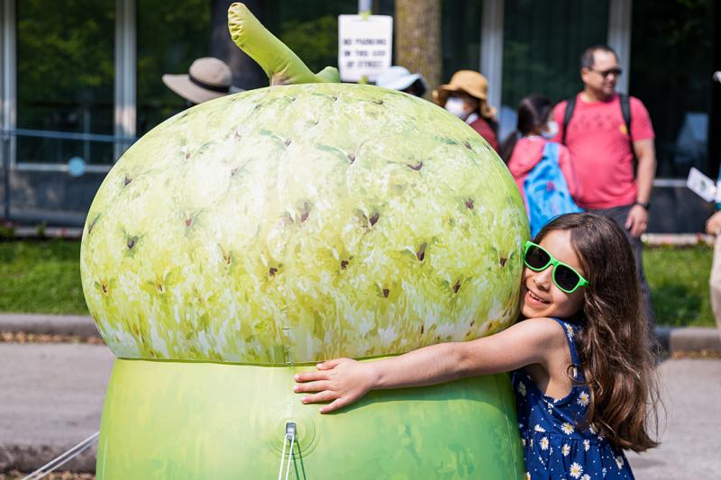 Young girl hugging giant acorn.