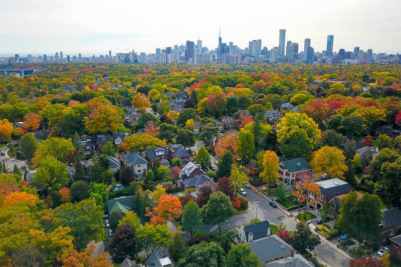 A view of Toronto from above shows a leafy neighbourhood with single houses next to the leafless downtown.