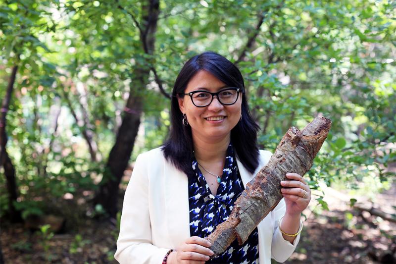 Ning Yan stands in a forest, smiling and holding a large piece of tree bark.