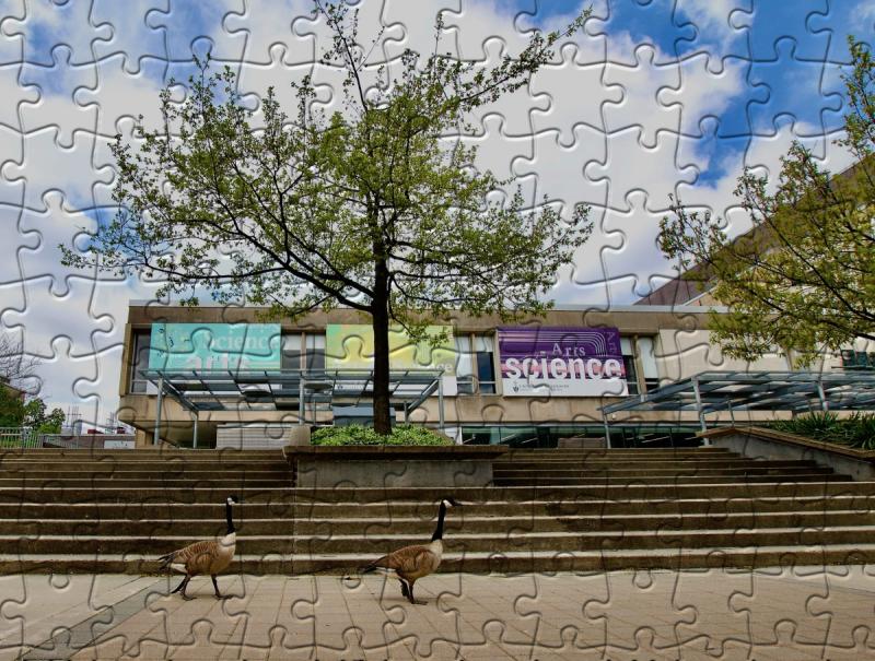 A completed jigsaw puzzle showing a view of the stairs and front of the Sidney Smith building.