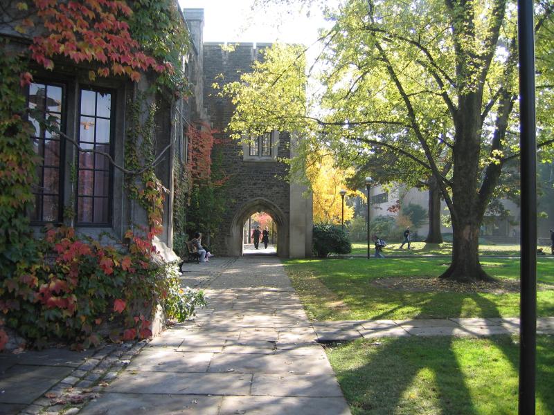 Sun shines through trees in the quad, at Burwash Hall residences.