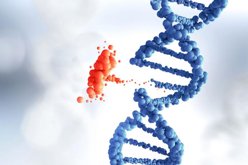 The double helix shape of a DNA strand looks like a twisted ladder made out of small balls.