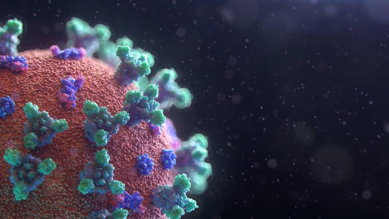 A 3D illustration of the coronavirus shows a sphere with Y-shaped protusions all over it.