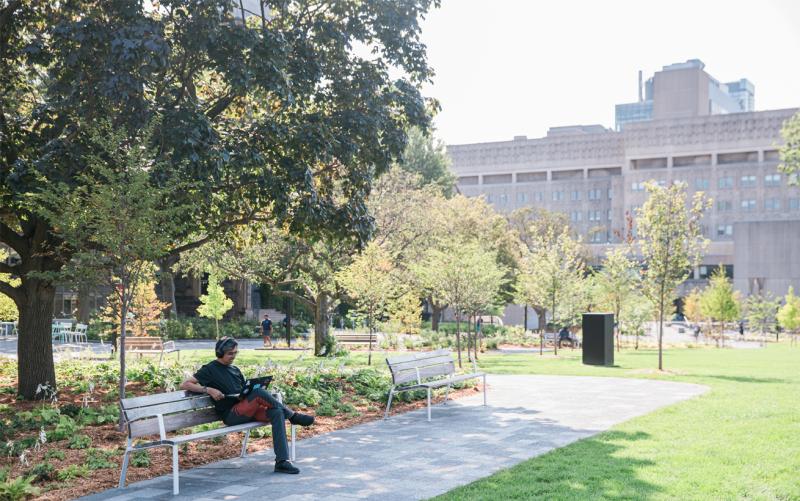 Panoramic photo of U of T