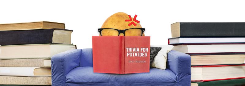 Potato, wearing glass and reading books while sitting on a couch.