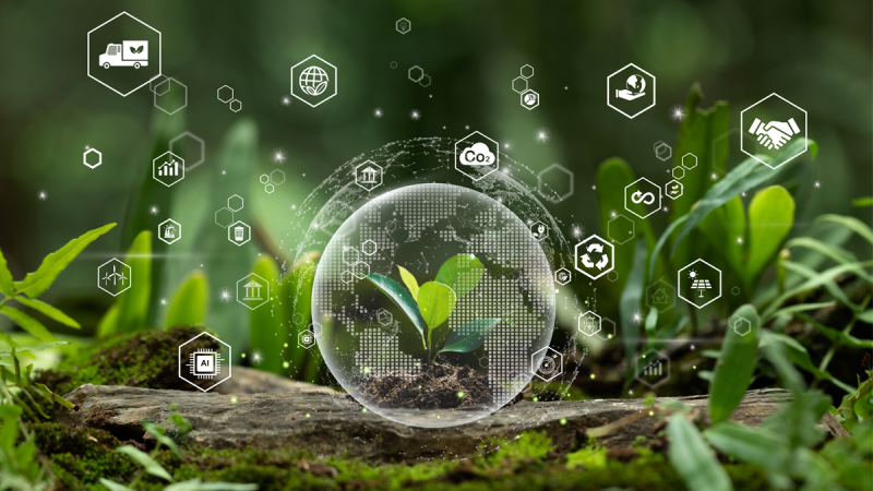 A small green plant growing from soil on a forest floor, surrounded by digital eco-themed icons and a transparent globe overlay, symbolizing climate action and environmental sustainability