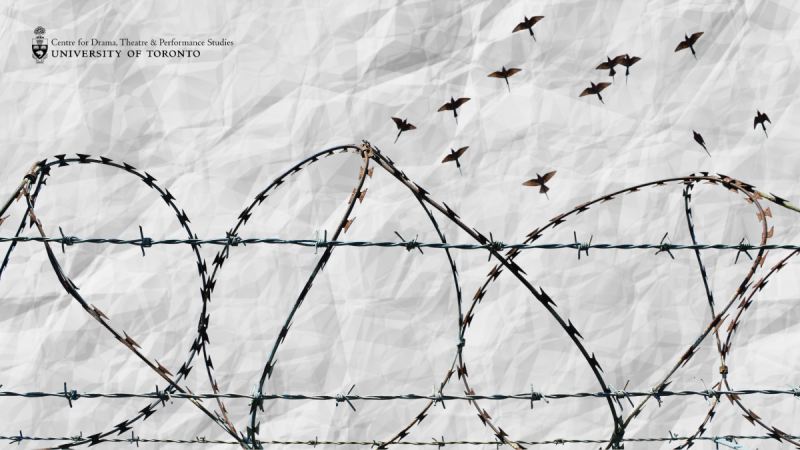 12 black birds soaring above a barbed wire fence