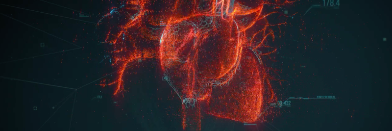 Anatomical heart image with a digital outline