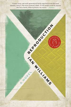 The cover of Reproduction by Ian Williams shows an envelope with four coloured flaps, one containing a landscape scene.