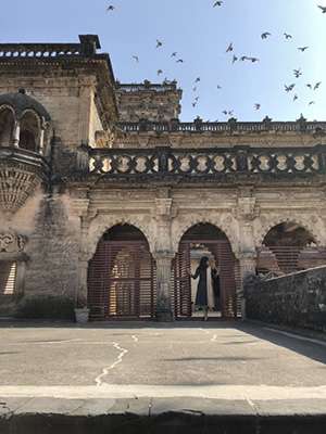 Birds fly over the elaborate carvings of the stone Naulakha Palace.