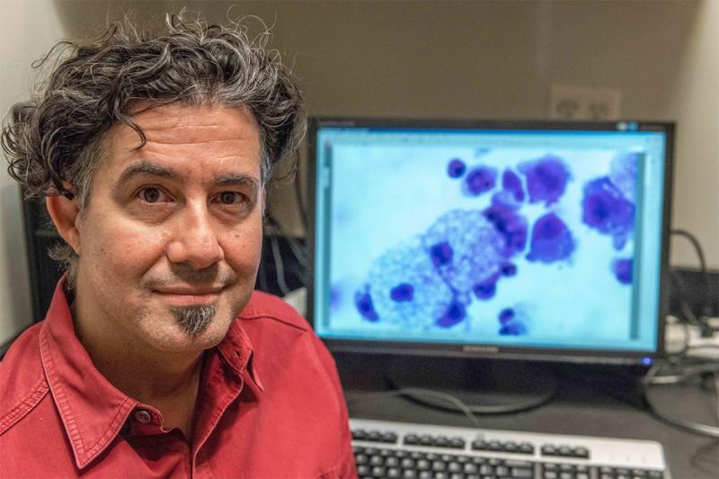 Derrick Rossi smiles as he looks up from a computer screen showing an image of cells.