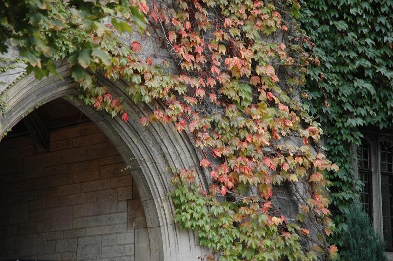 Hart House fall foliage