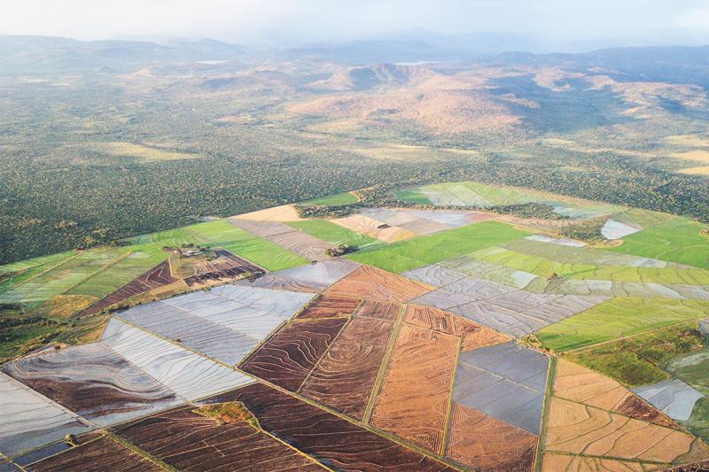 Walls snake across rice paddies, in a shot taken from an airplane.