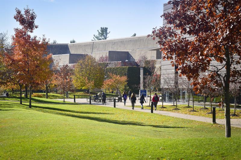 Students walk under autumn trees outside U of T Scarborough on a sunny day.