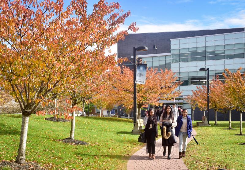 Three students smile as they walk abreast down a tree-lined path in front of a modern building.