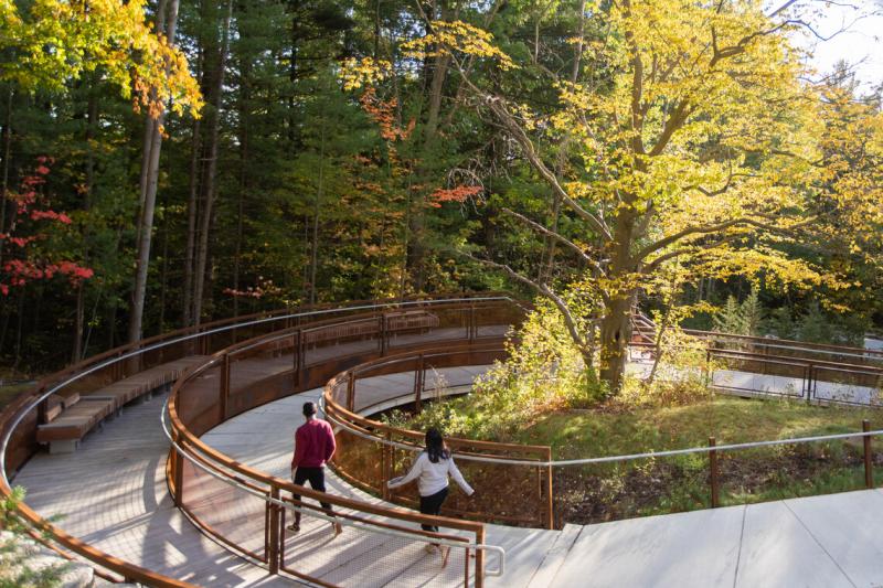 Sun slants through trees over a boardwalk trail that loops downwards into a valley.