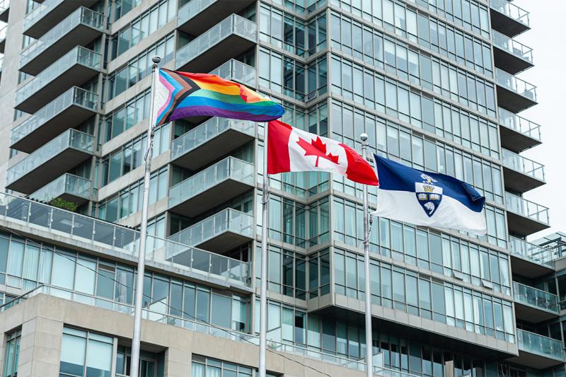 The progress pride flag includes a rainbow, trans colours, and black and brown stripes for marginalized communities.