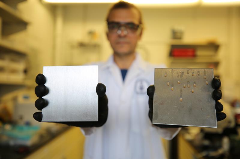 U of T researcher Tarek Awad shows two samples: a stainless steel surface treated to trap simple cooking oil (left) and an uncoated surface (photo by Liz Do)