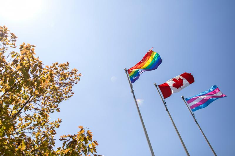 The Pride, Canadian and Trans flags fly in a row against a clear sunny sky.