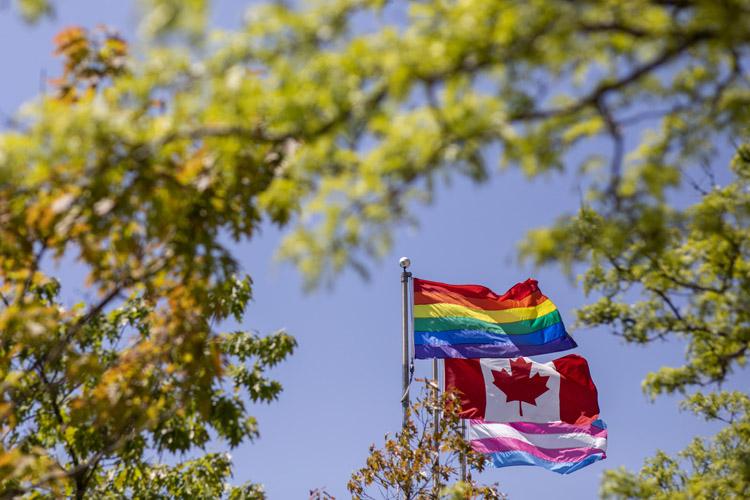 The Pride, Canadian and Trans flags flutter against a blue sky, framed by leafy tree branches.