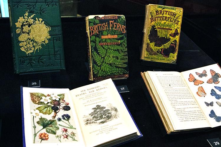 One-shilling guides about everything from ferns to microscopes made nature accessible.