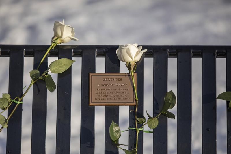 Two fresh roses frame a plaque reading: Remember, installed on the back of a metal bench.