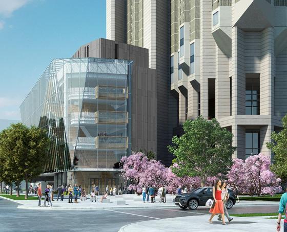 A rendering of what the Robarts Library plaza might look like under the cherry blossoms (rendering courtesy of Diamond Schmitt Architects)
