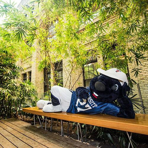 The True Blue mascot stretches along a wooden bench in an atrium next to a bamboo grove.