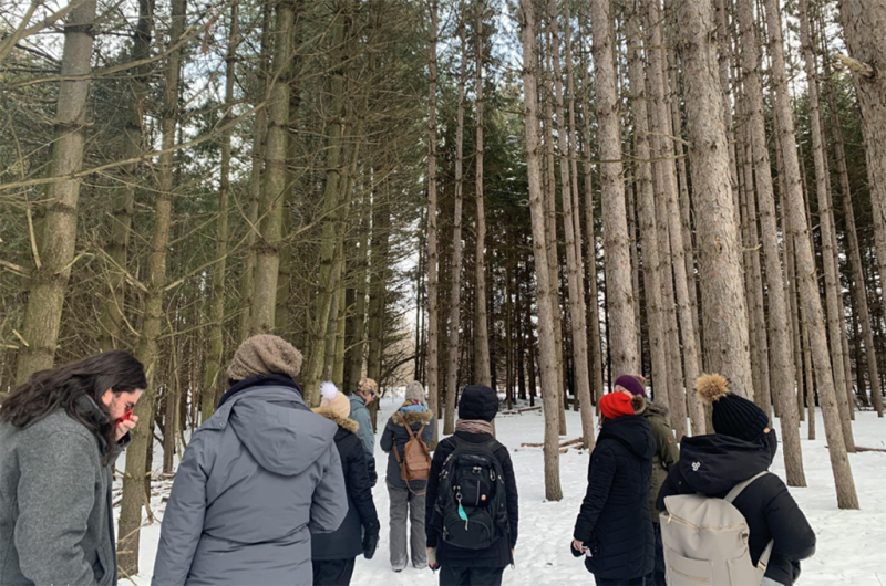 A group of kids and adults explore a snowy forest.