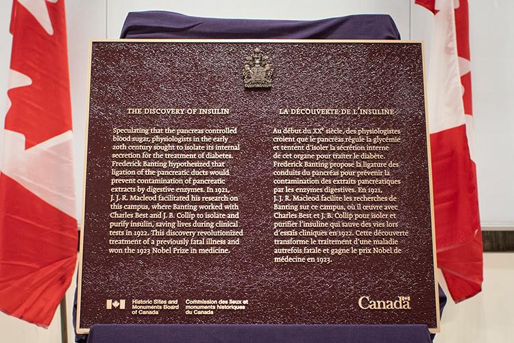 A close-up of the bronze plaque with raised letters telling the story of insulin. Text on plaque in caption after this image.