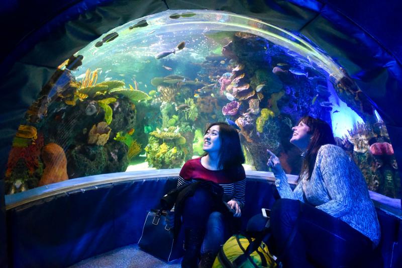 Two young women look up and laugh in front of an enormous aquarium filled with corals and tropical fish. Photo by Ken Jones