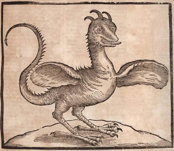A basilisk is depicted in German author Eberhard Werner Happel's 17th century book Relationes Curiosiae.