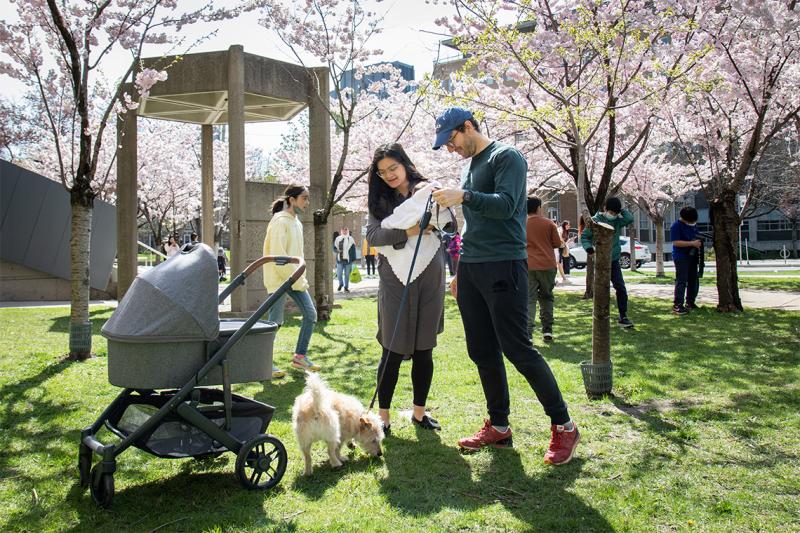 Cindy and Connor Ewing hold their baby and look down at their dog. Behind them, sun sparkles through blossoming cherry trees.