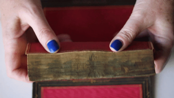 Hands fan out a book's pages to show a hidden image of a castle among trees.