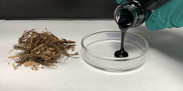 A small pile of shredded bark sits next to a petri dish while a gloved hand pours a thick smooth substance into the dish.
