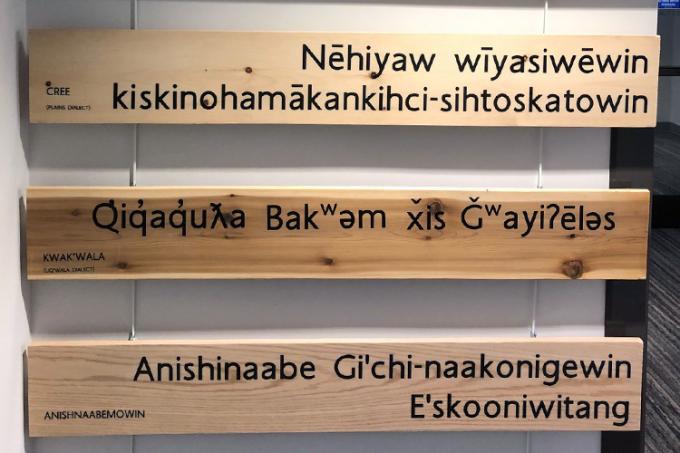 Indigenous Law Students Association language plaques (photo by Lucianna Ciccocioppo)