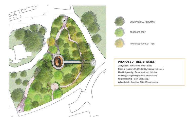 A map shows how the landscape south of Hart House will feature new trees: pine, cedar, tamarack, maple, birch and alder.