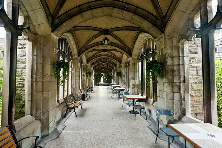 A Knox College cloister - a roofed stone corridor with open, arched windows and elaborate vaulting.