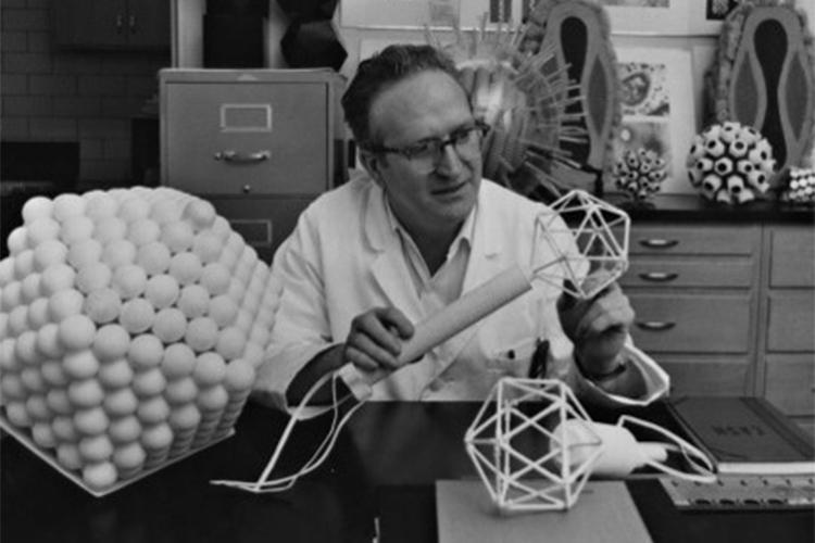 In an office filled with large models of molecules, Lou Siminovitich holds one shaped like a rhombicuboctahedron made of rods