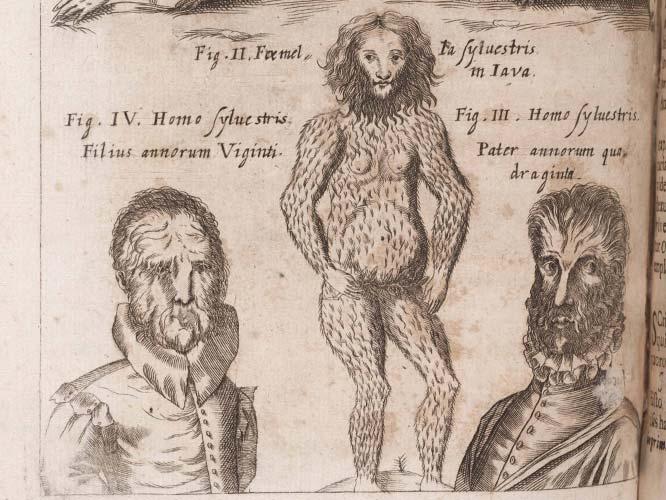 A page from Physica Cultura, a book by German scientist and Jesuit Gaspar Schott, published in 1662. In the book, he depicts mythical creatures but also humans (like those shown above) as monsters.