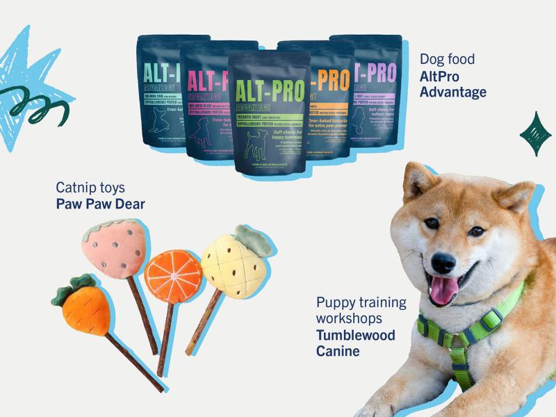 set of altpro dog food pouches, small carrot, strawberry, orange-slice and pineapple shaped catnip toys on a stick, a harnessed puppy sitting 