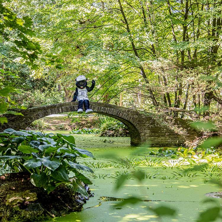 The True Blue mascot sits on the edge of a stone bridge without railings, arcing over a pond in the sunlit woods.