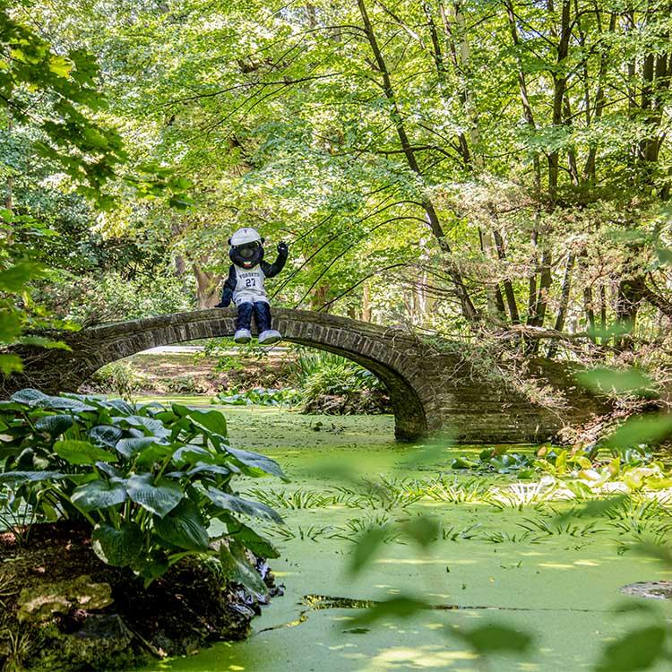 The True Blue mascot sits on the edge of a stone bridge without railings, arcing over a pond in the sunlit woods.