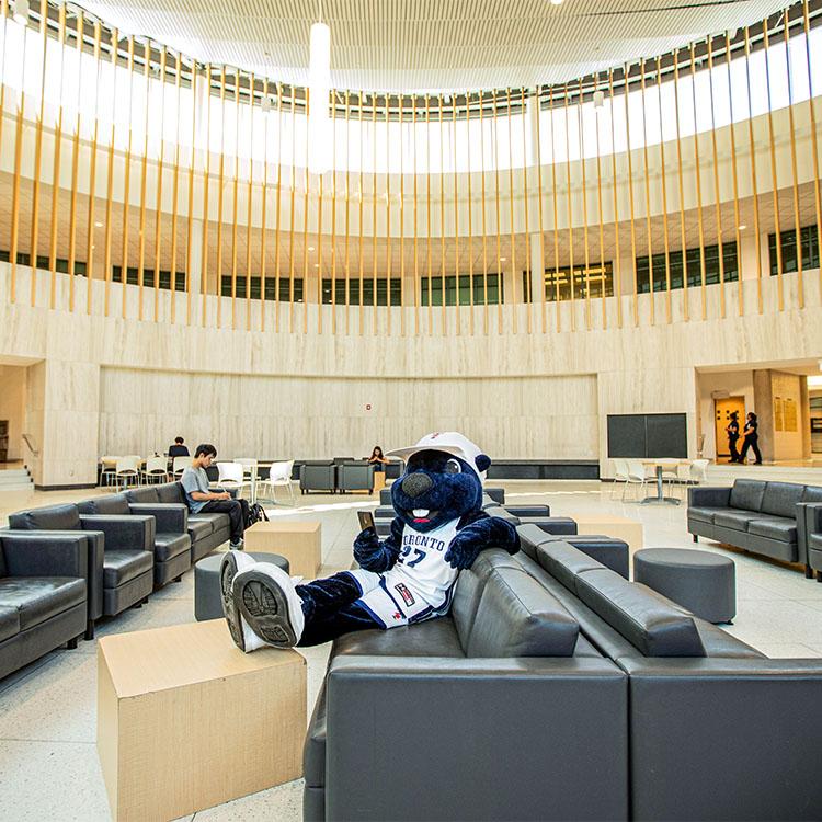 The True Blue mascot relaxes in an armchair in a stone-and-wood rotunda with high ceilings.