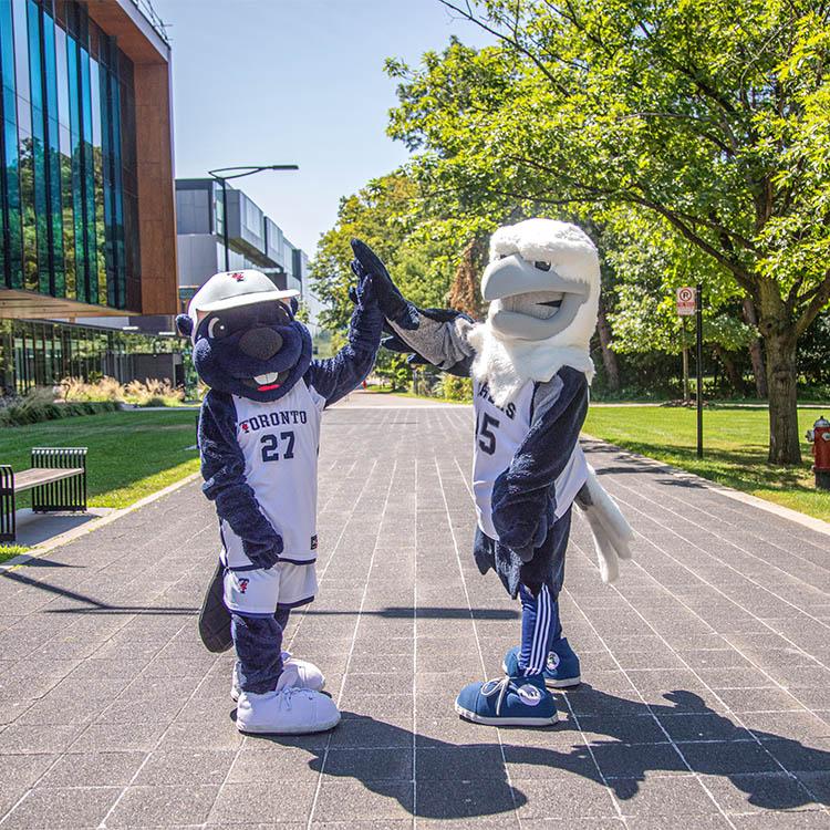 The True Blue mascot and the UTM Eagle mascot high five each other on a paved pedestrian walkway.