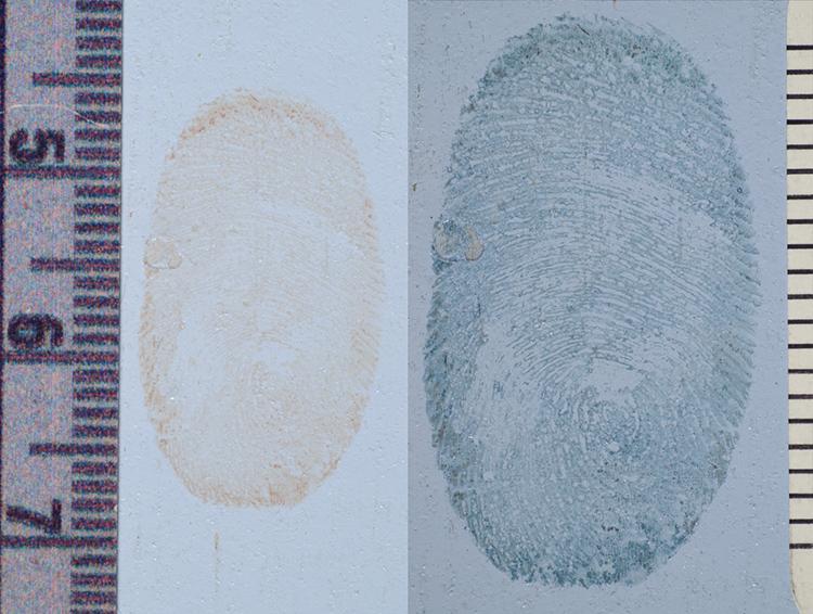 Side by side images show how a smudged bloody fingerprint reveals more details when changed colour by the slime compound.
