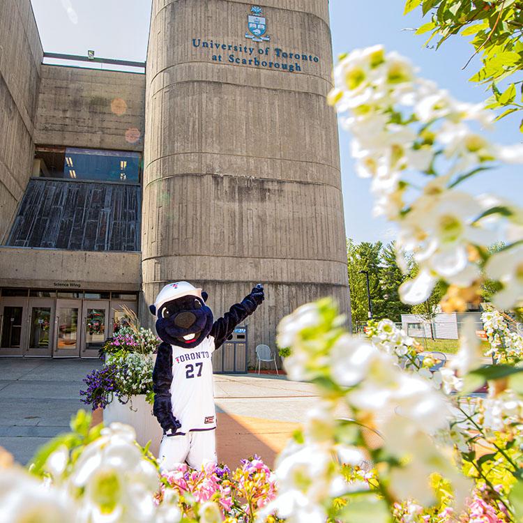 Standing amidt flowering planters, the True Blue mascot points up at the U of T Scarborough logo on a concrete tower.